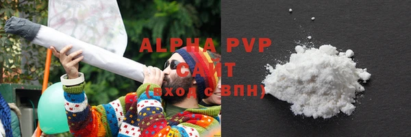прущие крисы Белокуриха